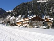 Ehrenhauser