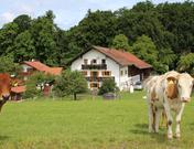 Waldhauser Hof, Bauernhof, Vitalhof