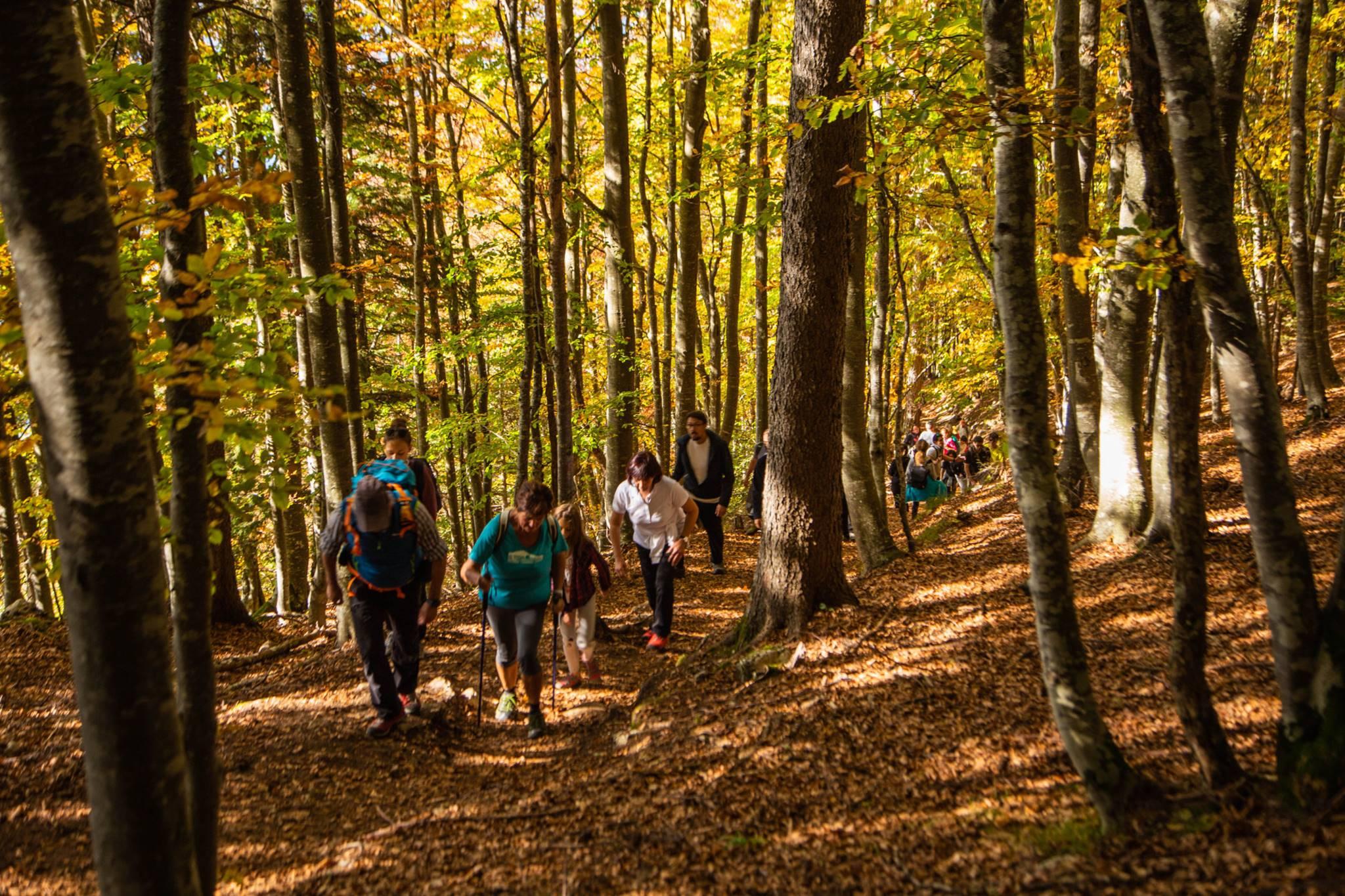 Foliage an der Wolfsschlucht mit Mittagessen der Soldaten