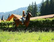 AGRITUR BONTEMPELLI - CENTRO EQUITAZIONE ALPINA