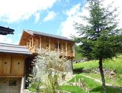 MASO FIOR DI BOSCO