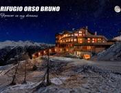 ORSO BRUNO