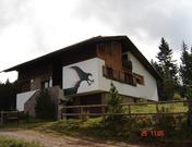 BACCHINI PATRIZIO