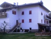 BONELLI TULLIO