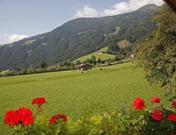 Alpensonne, Apart