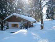 Chalet Waldwinkl