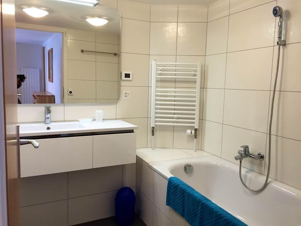 EG Badzimmer-1 EG Badzimmer-1