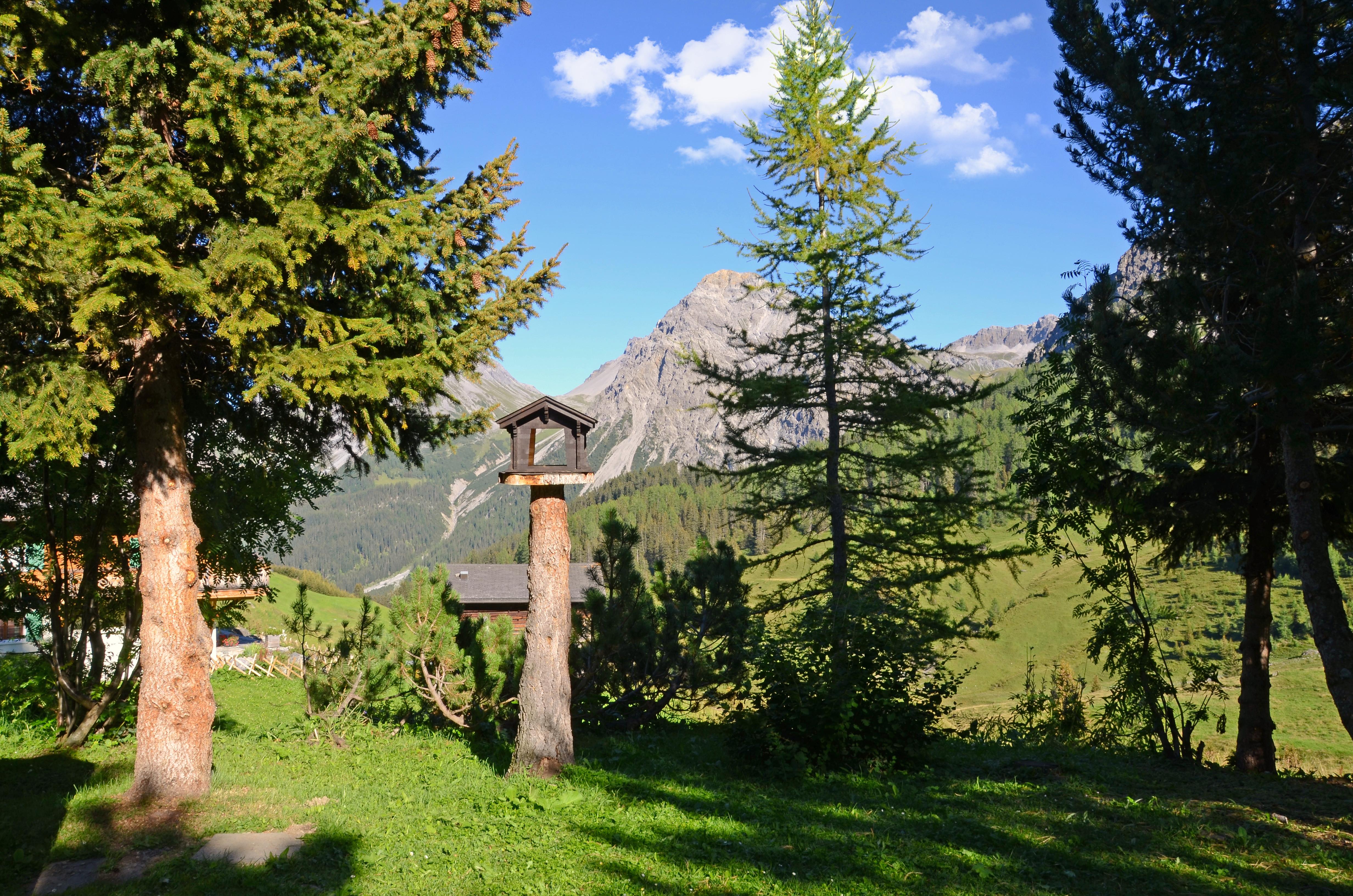 Ausblick im Sommer Ausblick im Sommer
