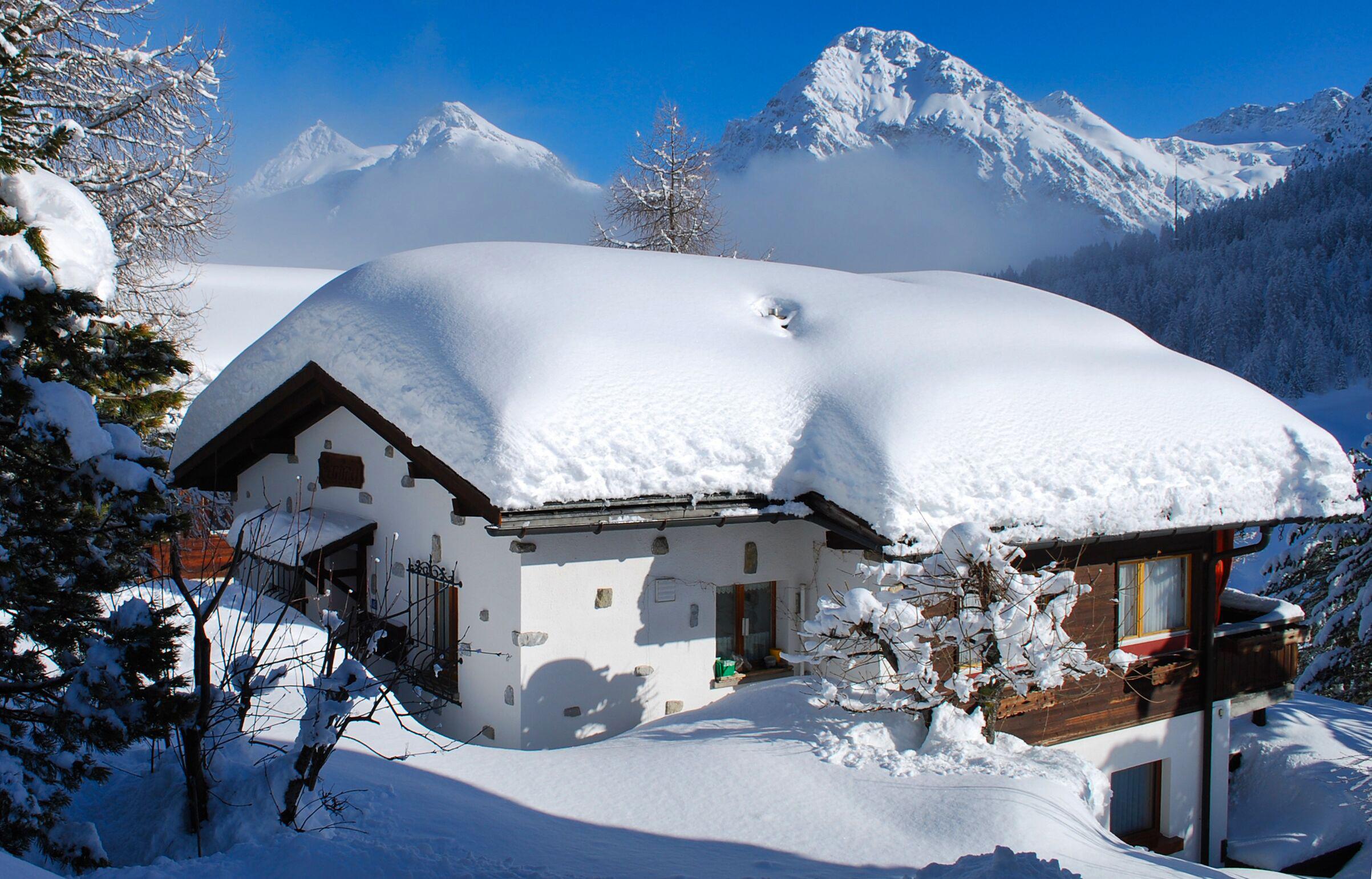 Carlina im Winter Carlina im Winter