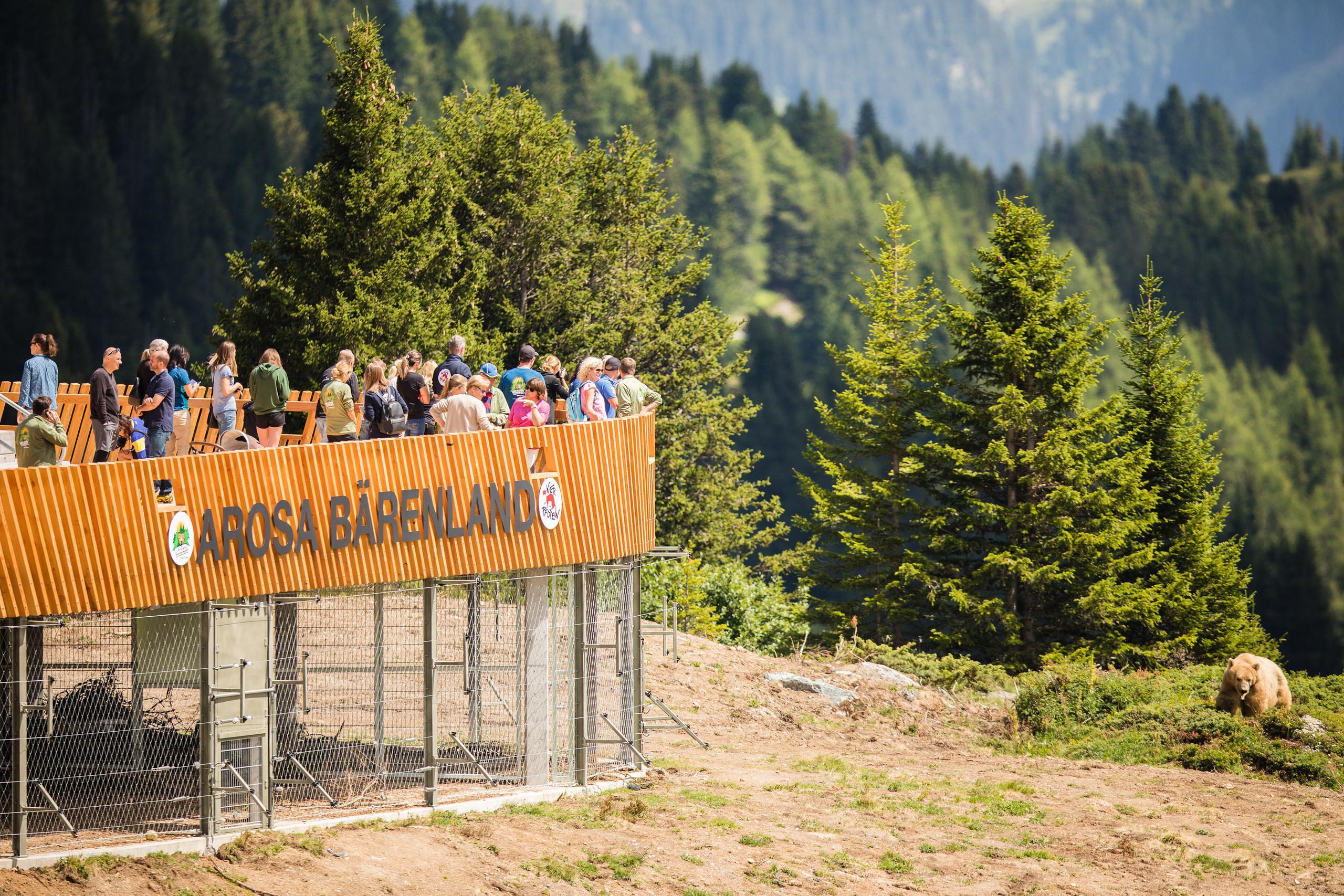 bärenland bärenland