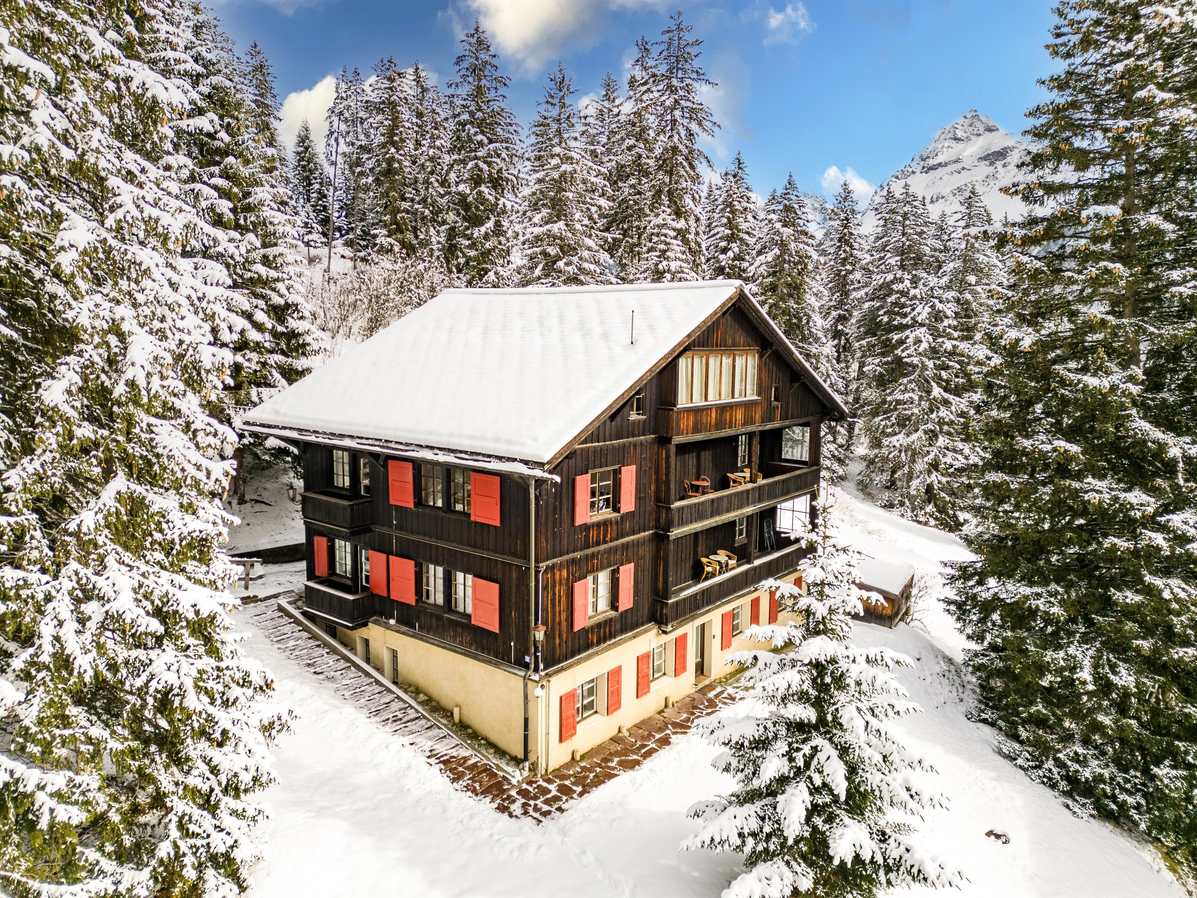 DJI_0081 copy DJI_0081 copy