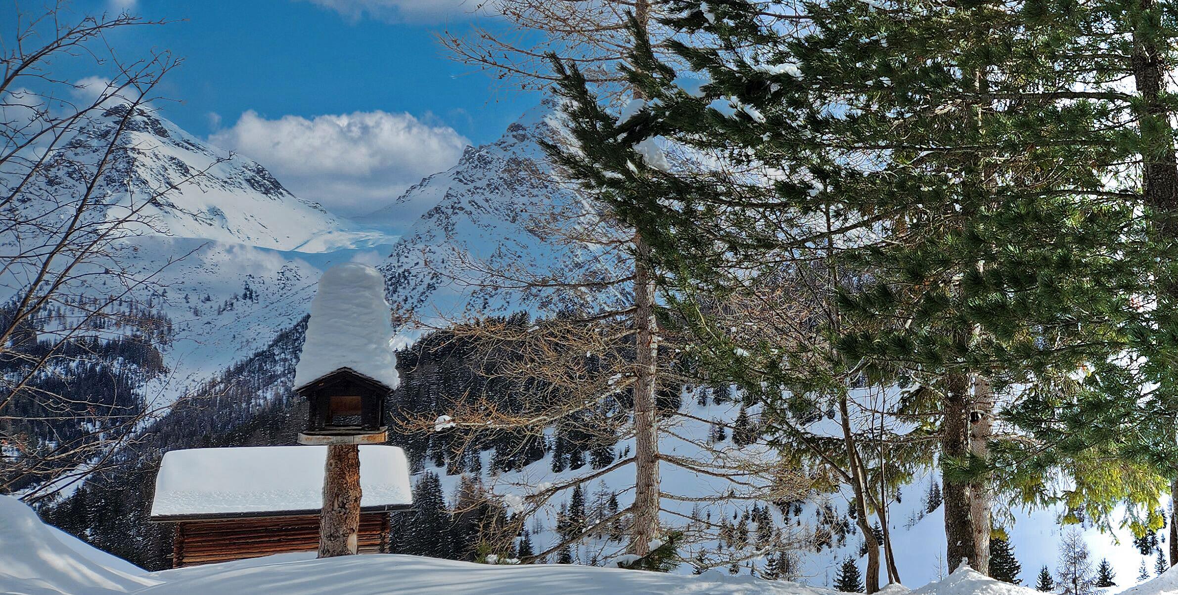 Ausblick Wohnzimmer Ausblick Wohnzimmer