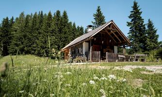 A cozy cabin in nature, surrounded by tall trees and meadows. The clear sky and the green landscape create a relaxing atmosphere.