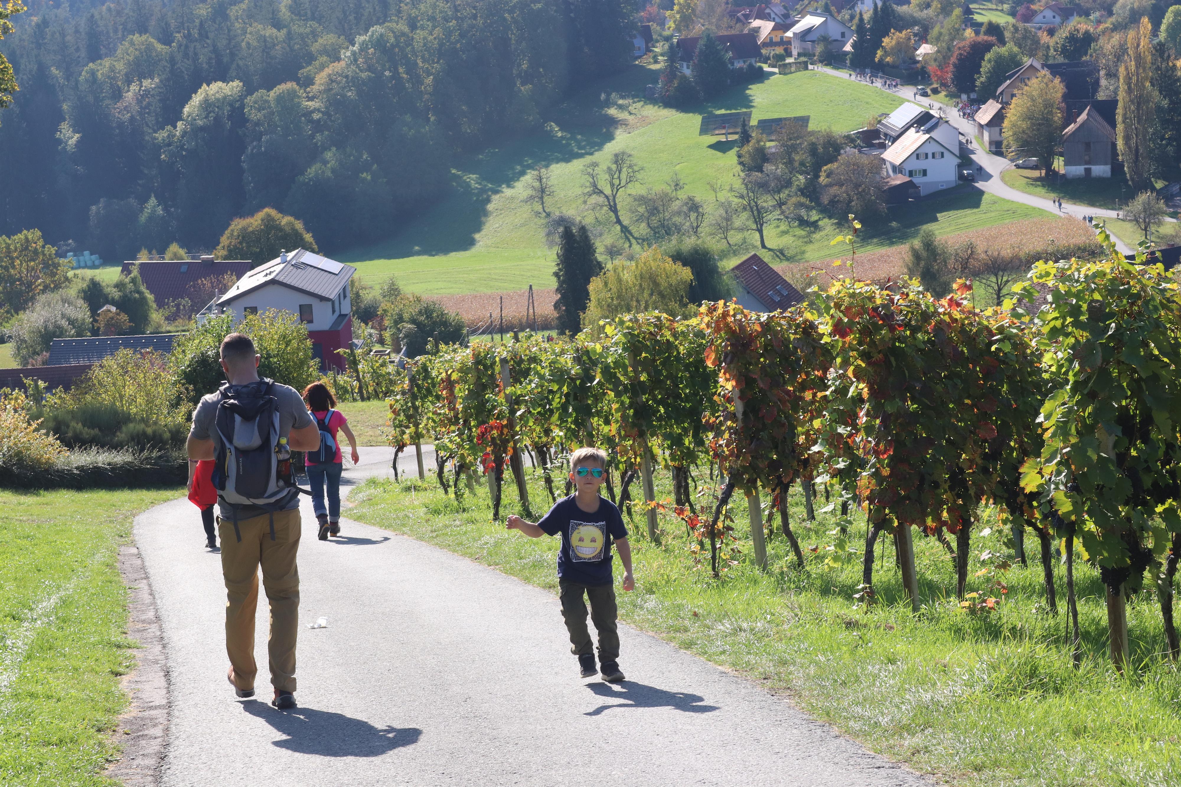 Geführte Wanderung: Stürmische Wanderung in Ligist