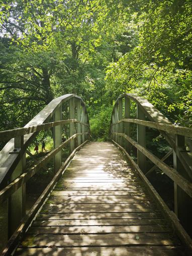 Schreisteg in der großen Raabklamm