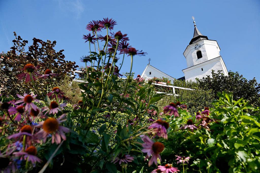 Wilhering single date. Erotik treff Sankt georgen an der gusen single frauen in langenwang dates. Dates single frauen in langenwang aus feistritztal. Single frauen in langenwang: Single aktiv in mittersill