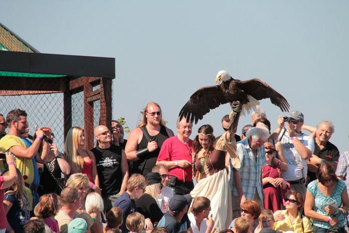 Greifvogelwarte Riegersburg