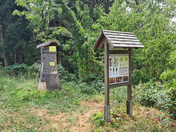 Bienenschaustock