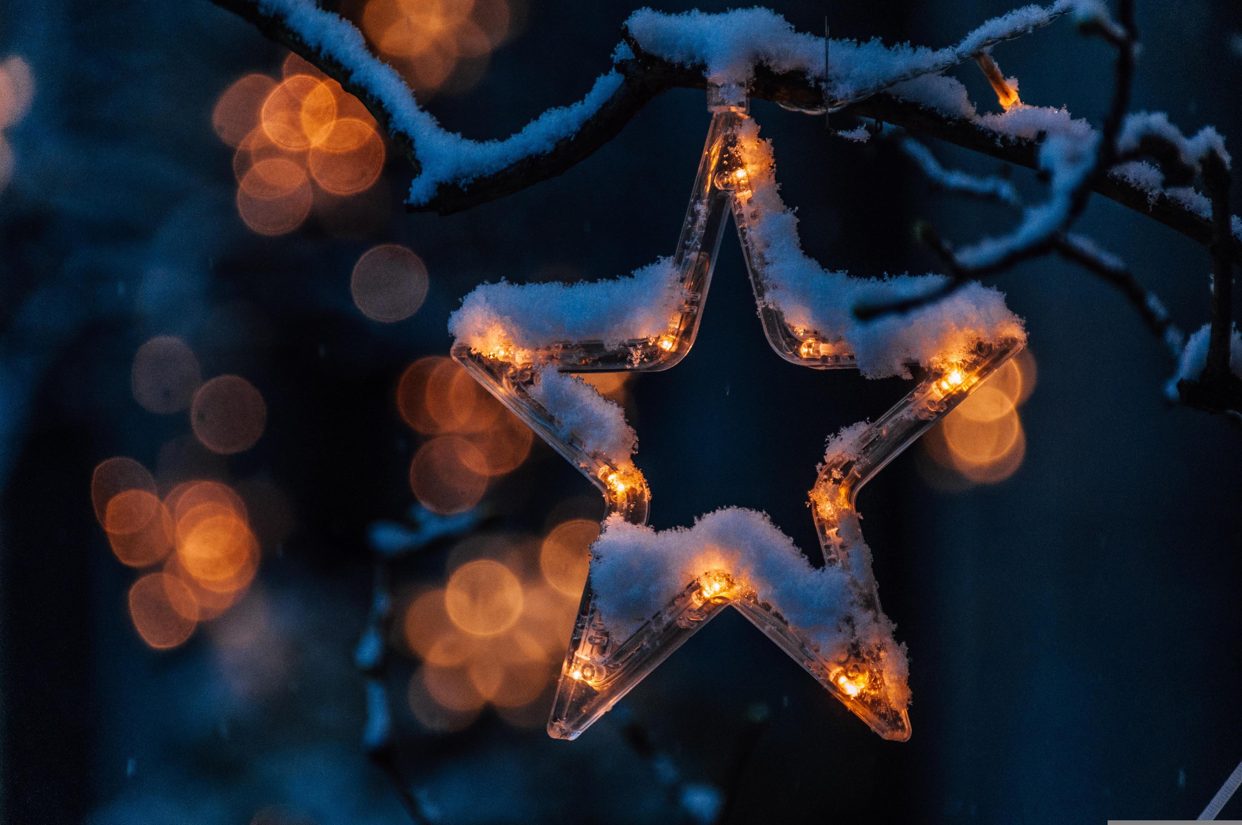 Advent im Park