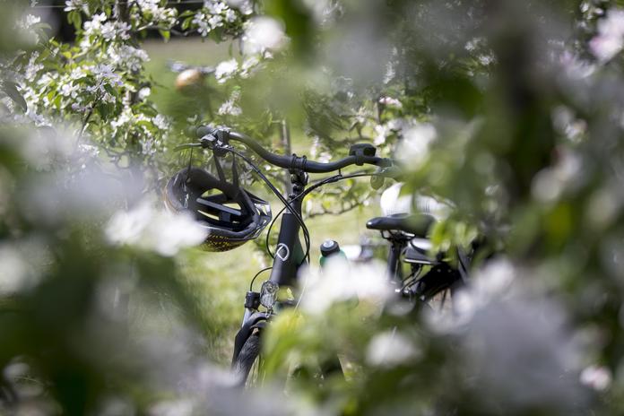 E-Bike Ladestation Weingut Eiteljörg