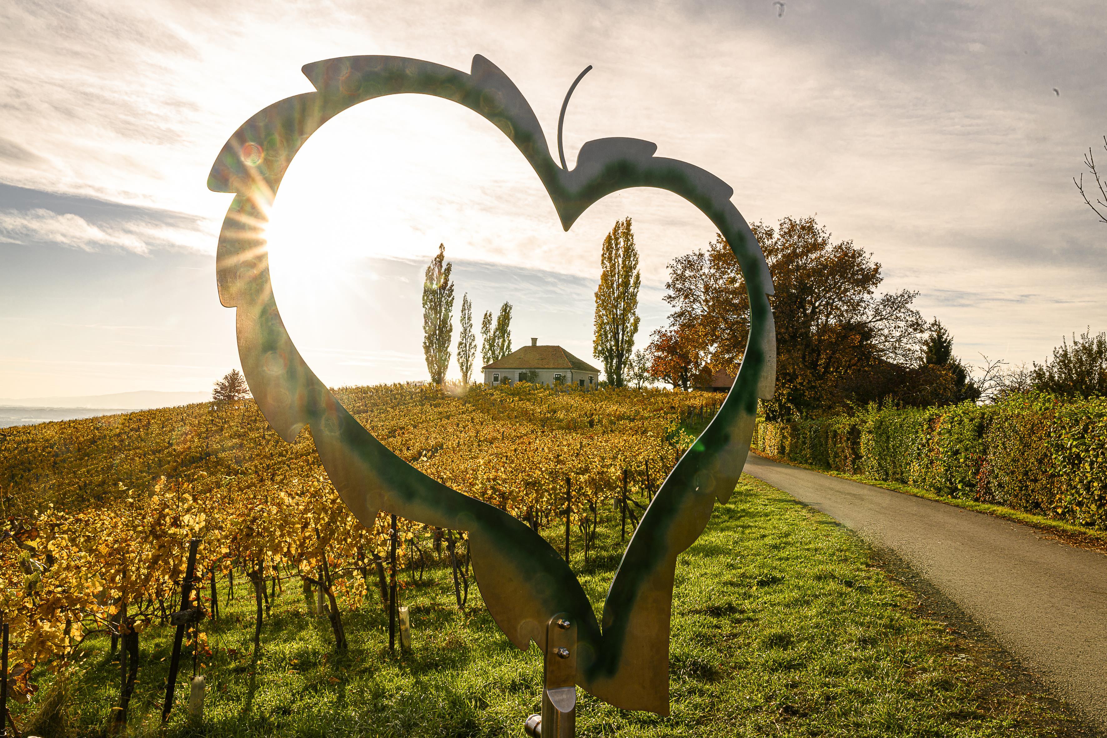 Weinbergfest