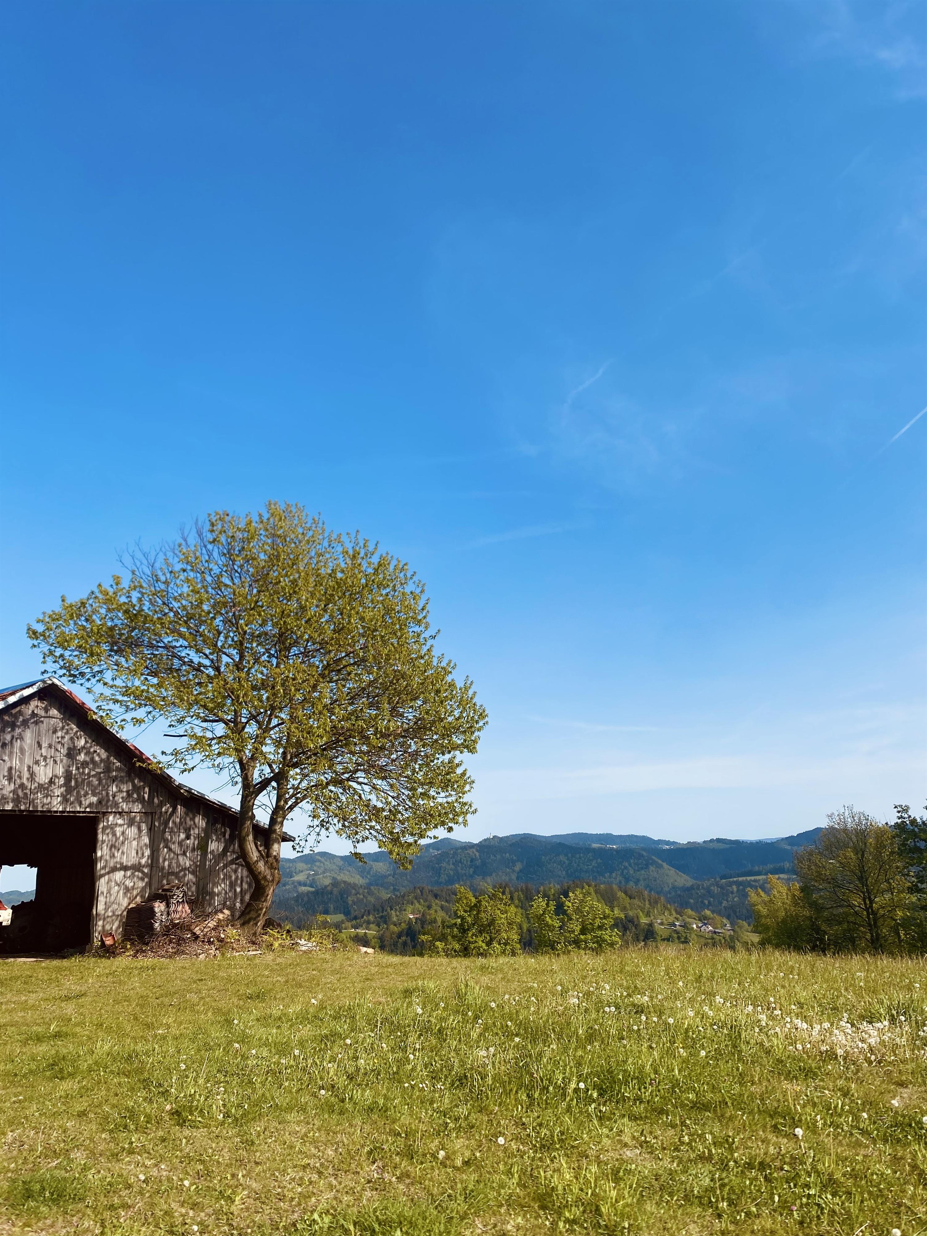 Oberhaager Mondscheinwanderung