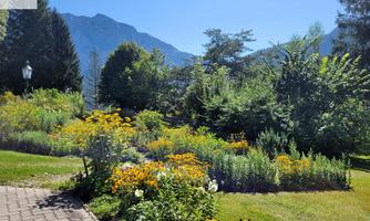 A beautiful garden with colorful flowers and lush greenery. In the background, the mountains and a clear blue sky can be seen.