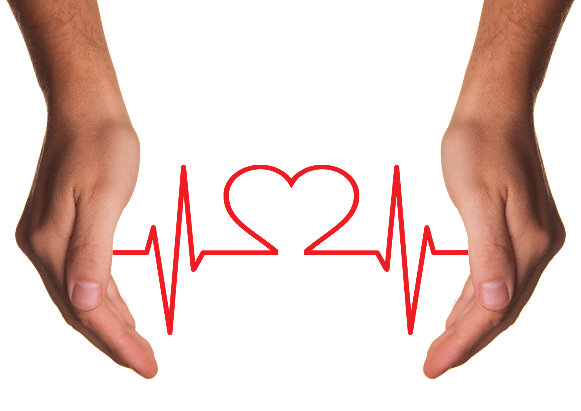 Gesundheitsvortrag – das Cholesterin