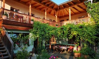 An inviting courtyard with grapevines and flowering plants. The wooden terrace and cozy seating areas create a relaxed atmosphere.