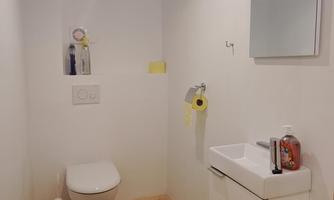 A modern bathroom with a white toilet and a small sink. The floor is made of wood and a green rug is on the floor.