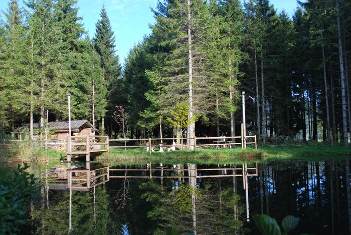 Vogelbeer Wanderweg
