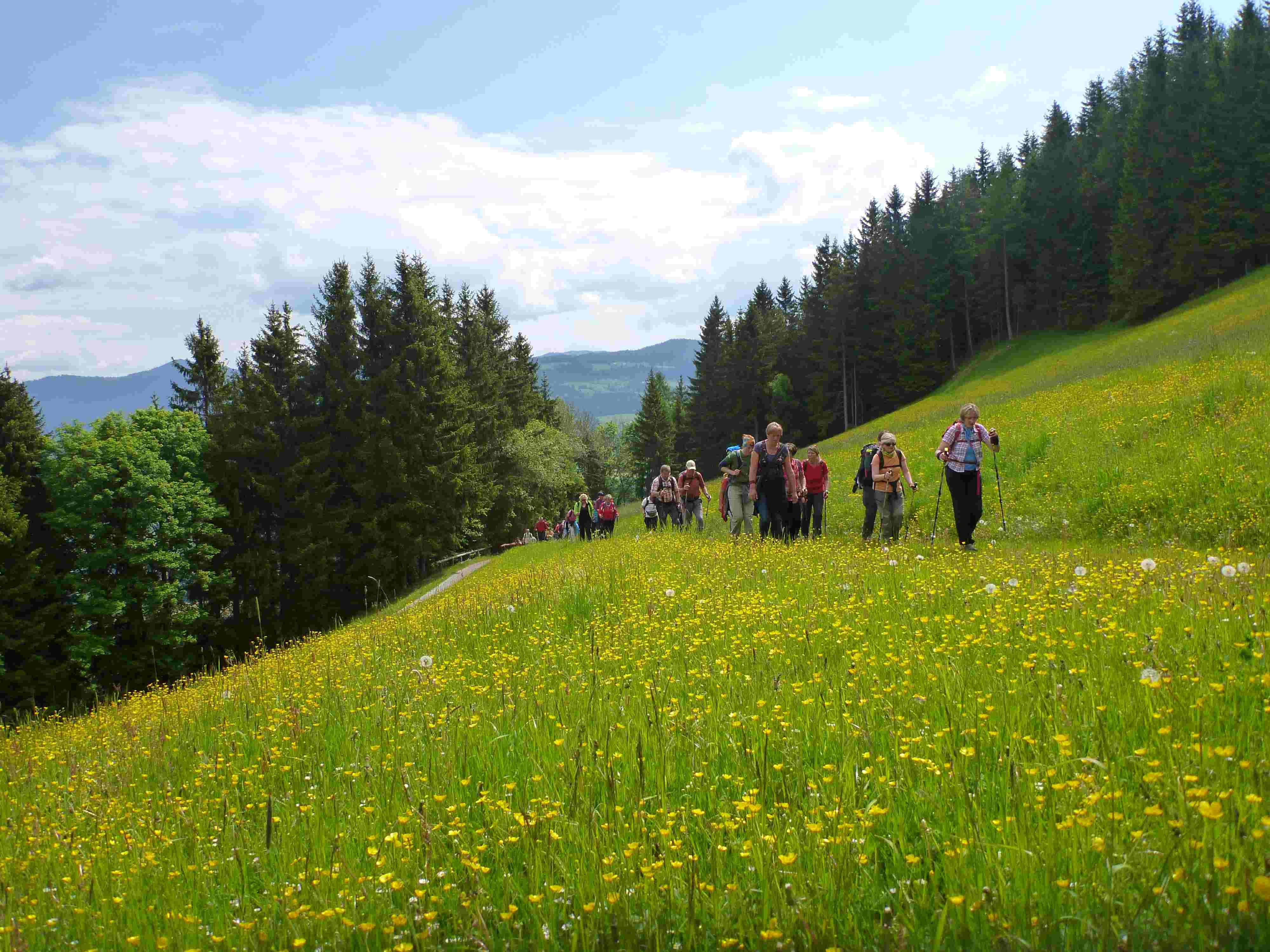 Naturpark Fusswallfahrt