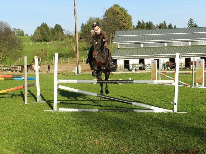 Reitstall Mandl