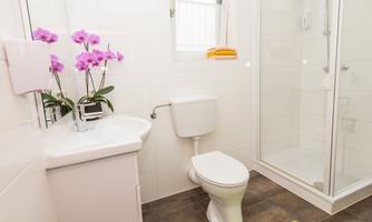 A modern bathroom with a shower, a sink, and a toilet. Colorful orchids and towels create an inviting atmosphere.