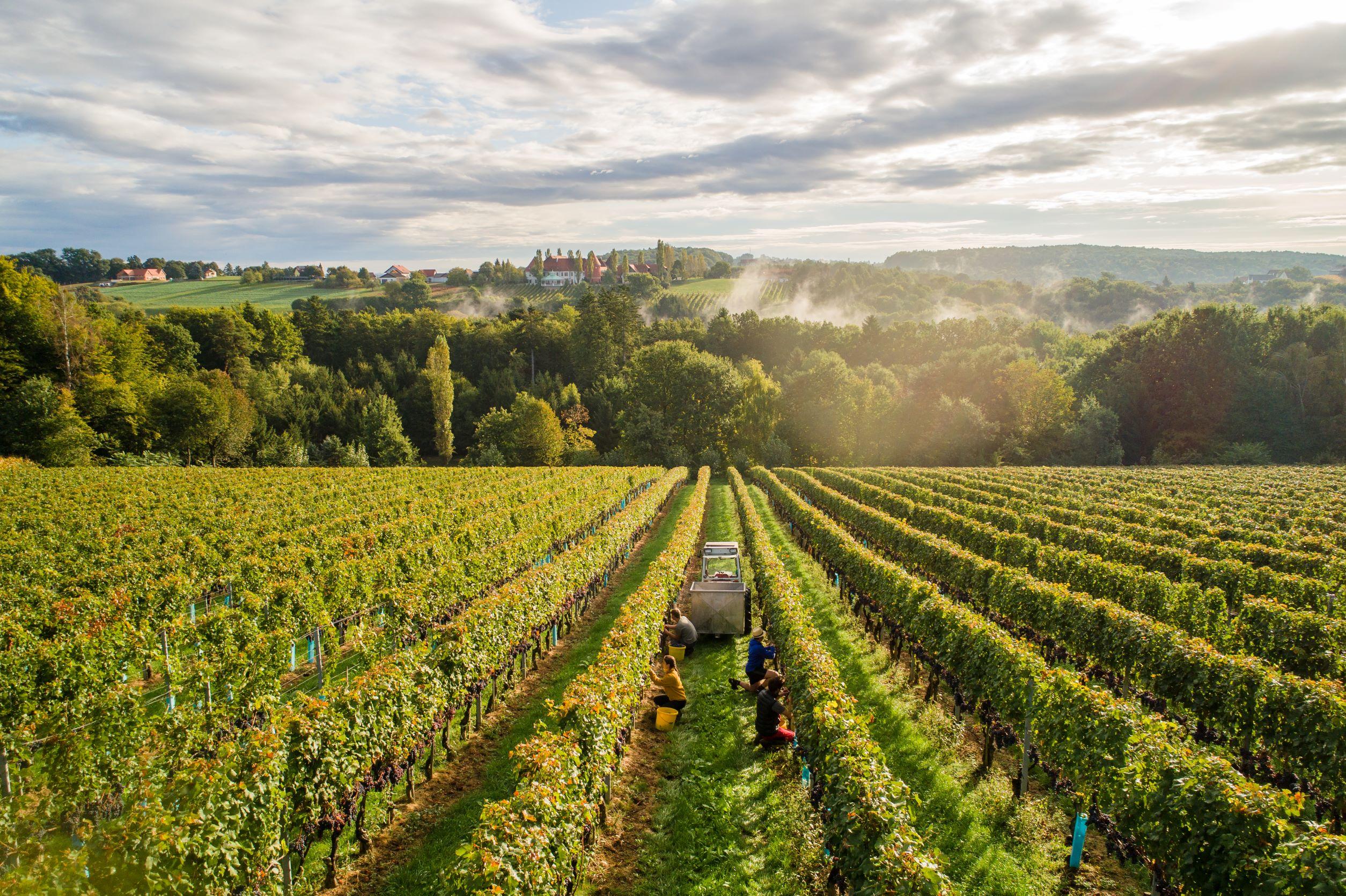 Menü zum Vatertag in Großwilfersdorf