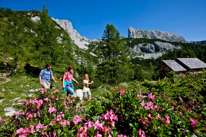 Die Tauplitz Sommerbahnen