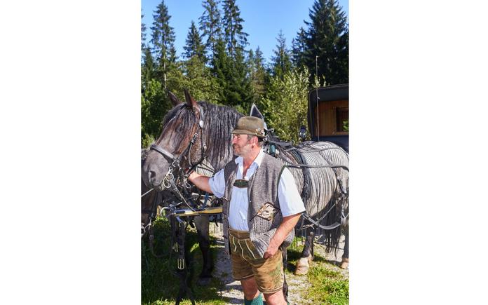 Pferdeschlitten- und Kutschenfahrten "Am Seebacherhof"