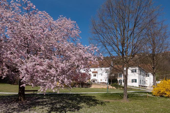 Schlosspark Hartberg