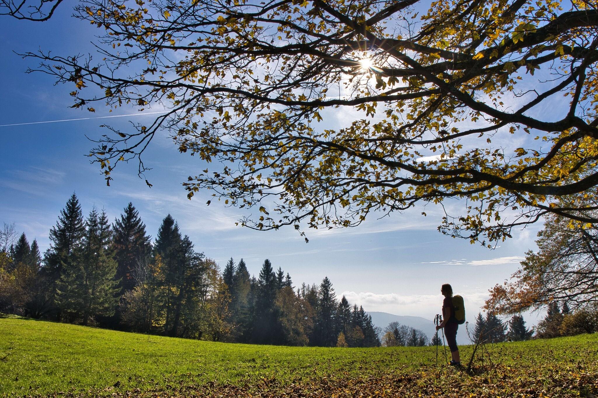 Geführte Wanderung: Am Römerweg nach Semriach