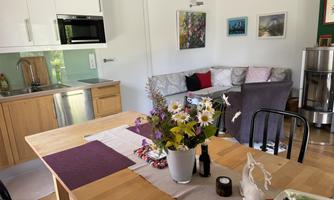A modern kitchen with a dining area and cozy corner, fireplace stove, and large dining table