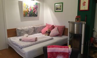 A cozy living room with a sofa bed, colorful cushions, and a plush toy. Pictures are hanging on the wall, and there is a small fireplace on the right side.