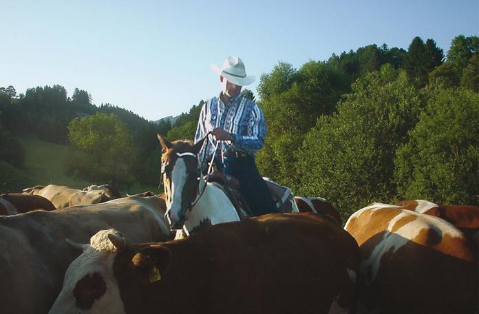 Sunhill Ranch - Reitstall