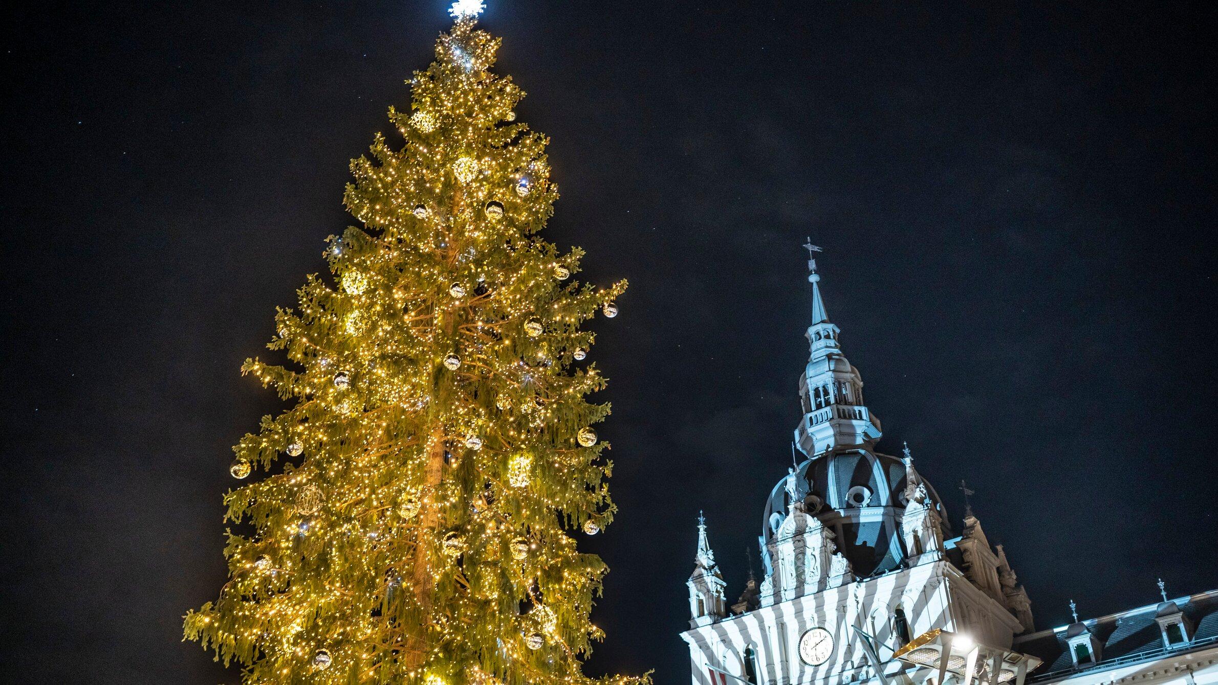 Christbaum am Grazer Hauptplatz