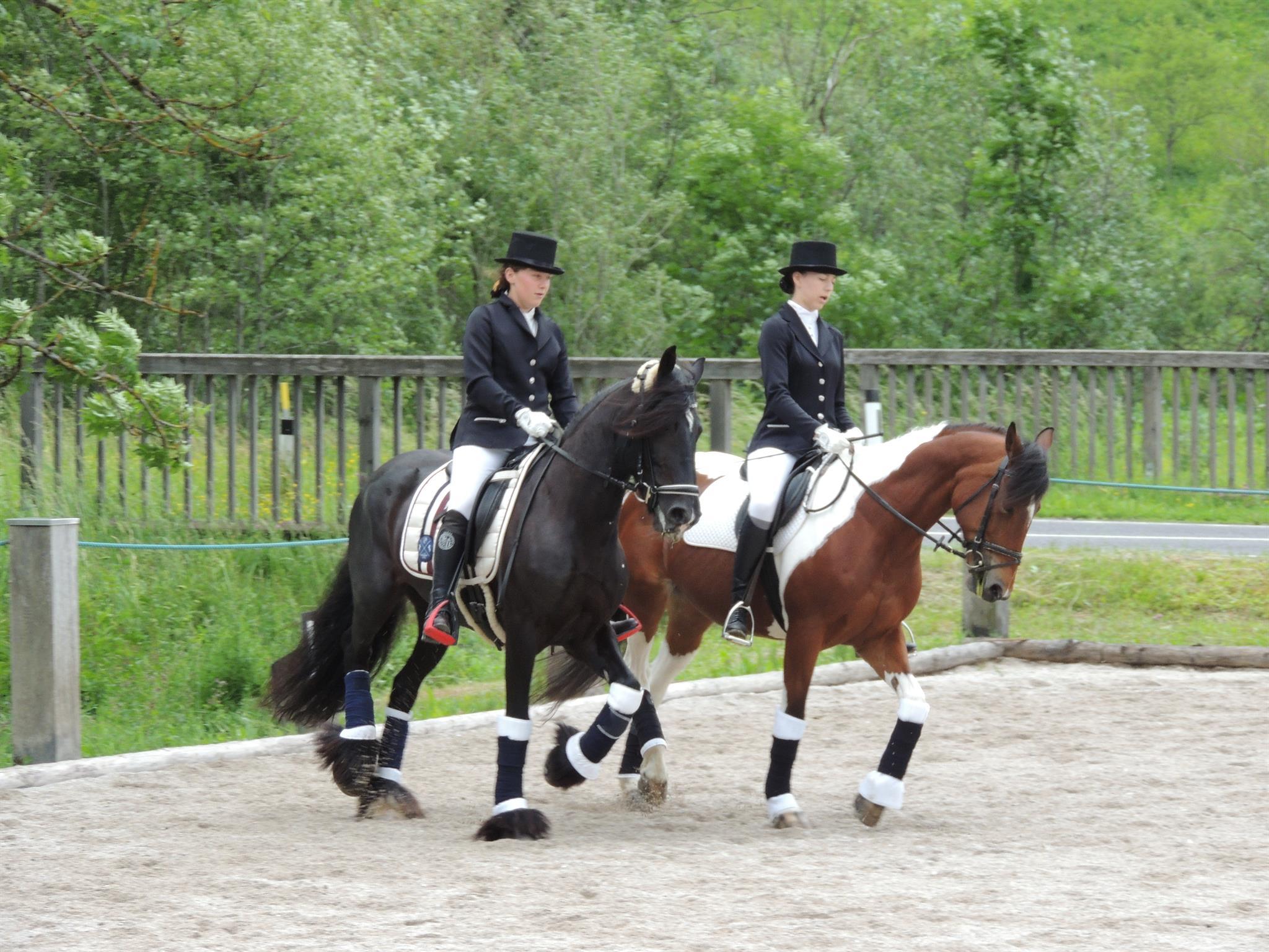 Pferdefest am Arche-Hof Braschlhof