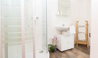 A modern bathroom with a shower cabin and a sink. There is also a towel holder and a plant for a cozy atmosphere.