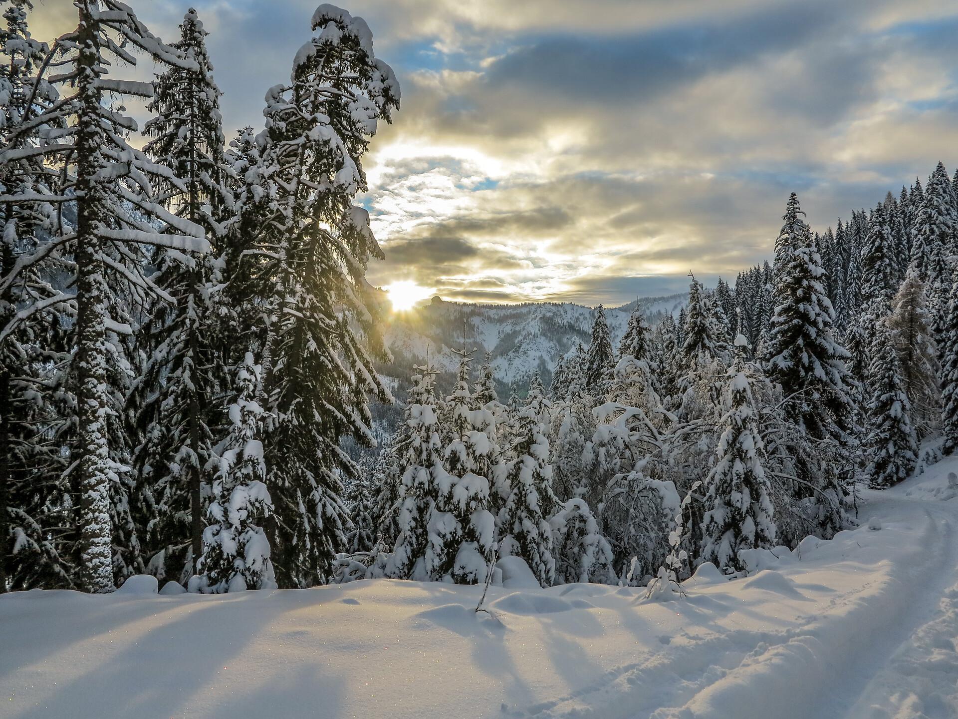 Silvesterwanderung
