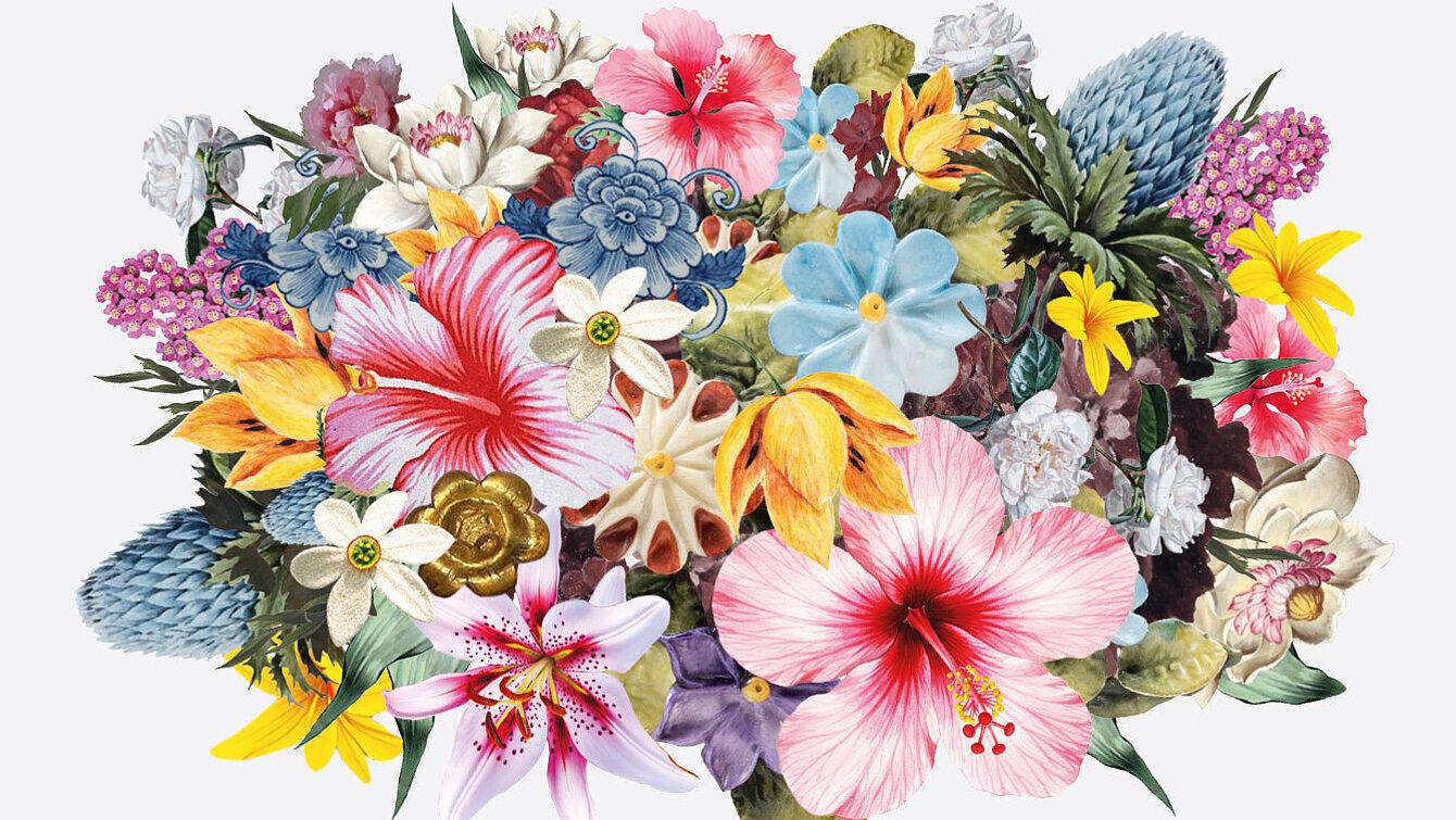 BLOOM – Das Joanneum blüht auf!