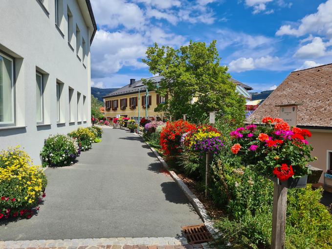 Straße "Blume des Jahres"