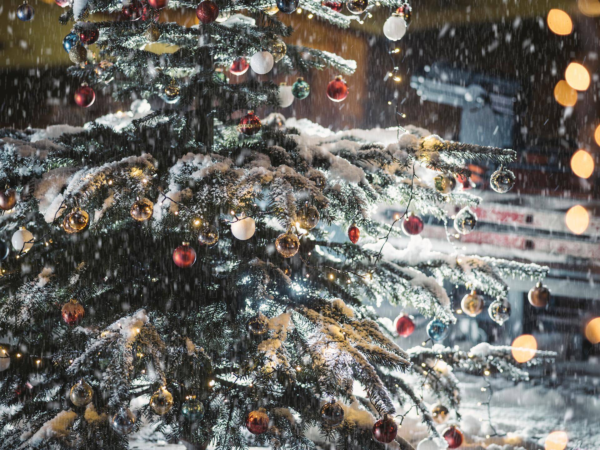 Advent der schönen Dinge