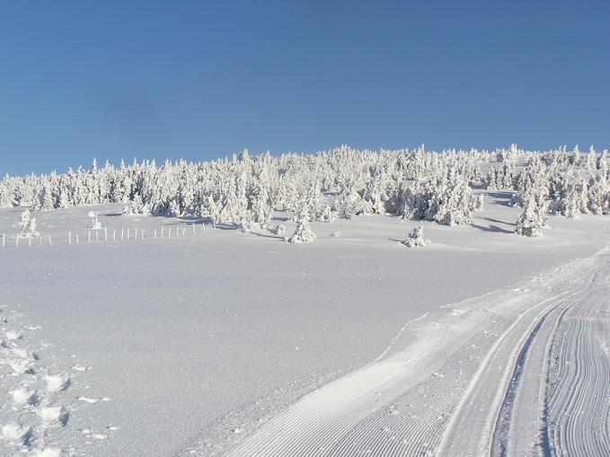 Langlauf- und Rodelverleih Rabl-Kreuz Hütte
